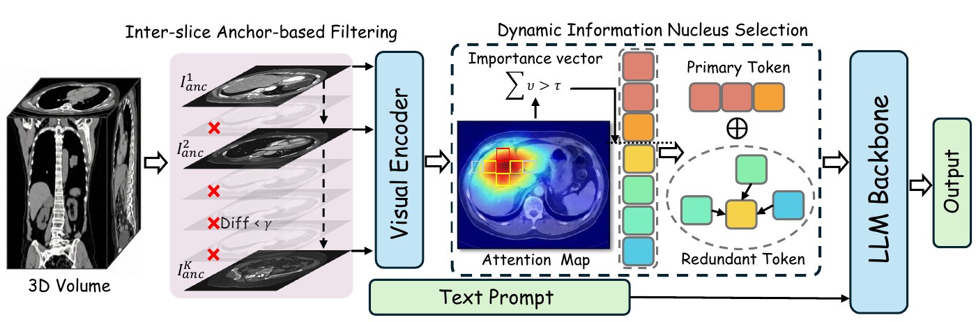 MedPruner framework overview